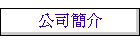 公司簡介